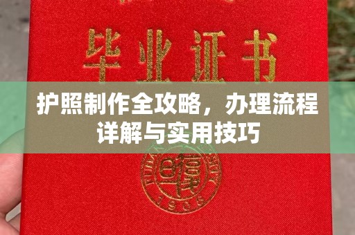 开原护照制作全攻略，办理流程详解与实用技巧