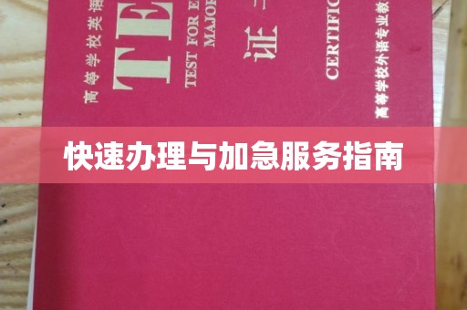 开原快速办理与加急服务指南