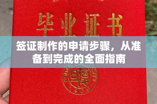 开原签证制作的申请步骤，从准备到完成的全面指南